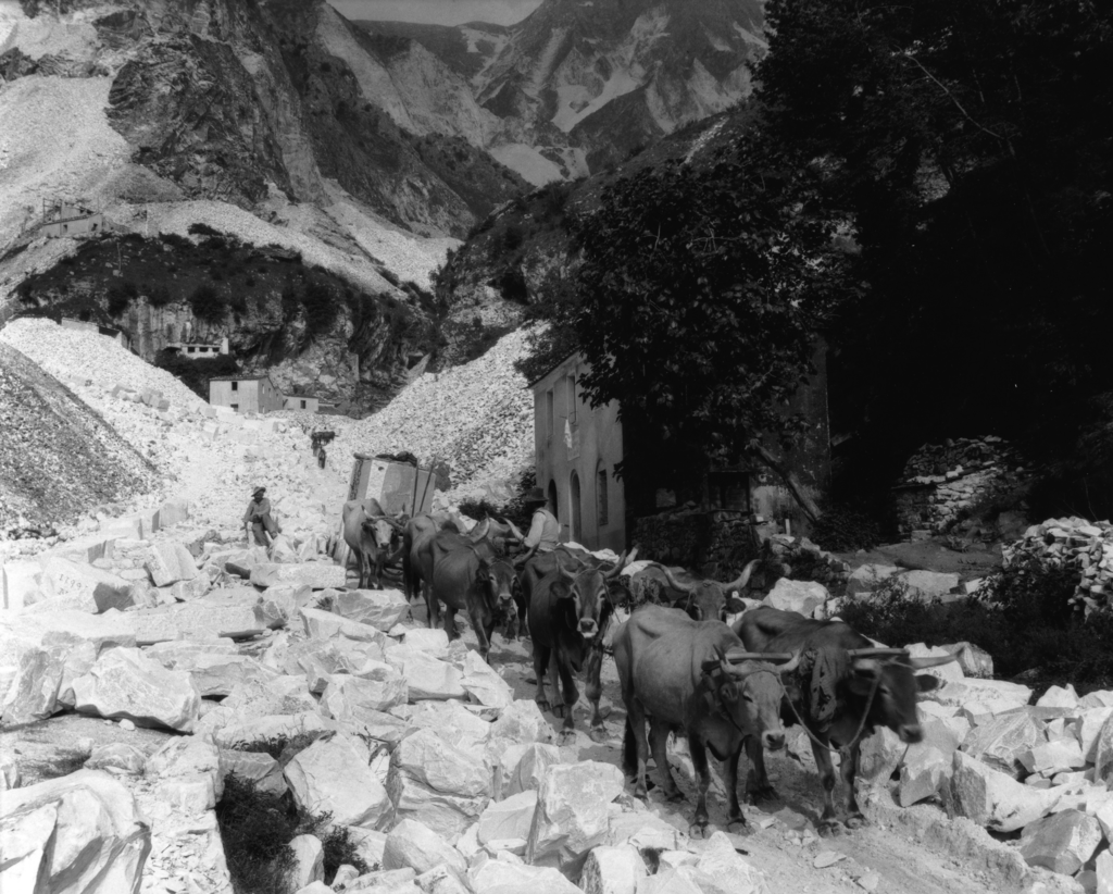 History of marble, oxen pull carts of marble from the quarry